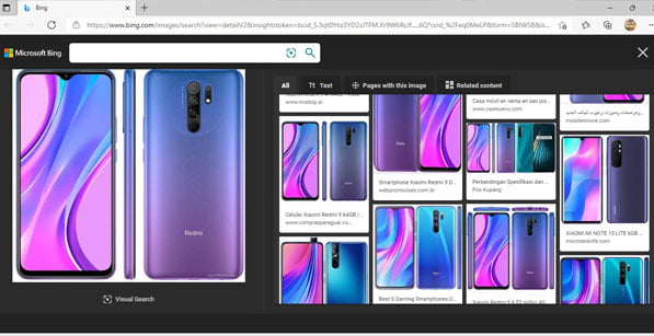 Visual Search Result