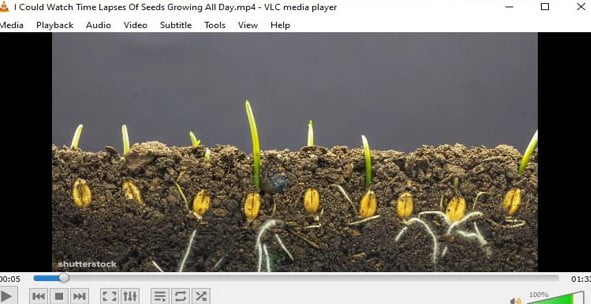 VLC